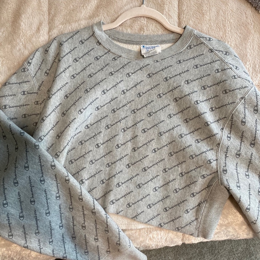 Champion crop hoodie